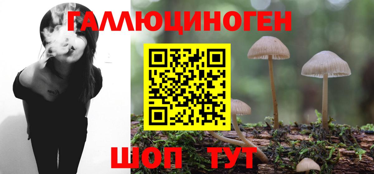 Галлюциногенные грибы Psilocybine cubensis  Вход с VPN  Стрежевой  даркнет сайт  Галлюциногенные грибы прущие грибы 